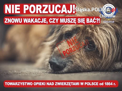 Nie porzucaj zwierzaka