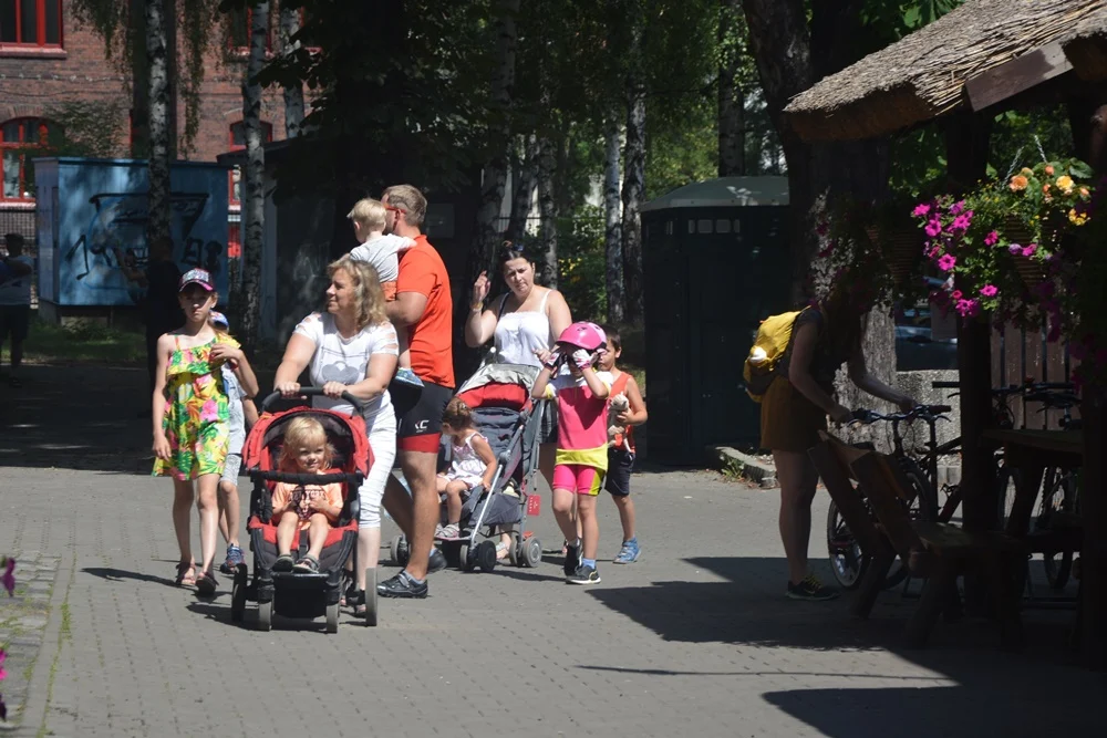 Ogród Śniadaniowy 7