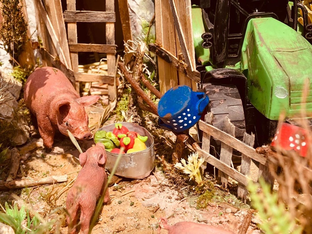 Wodzisławskie Skrzaty na farmie