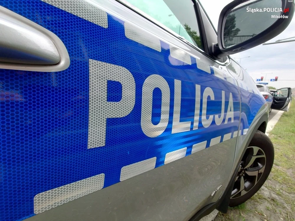 Mieszkaniec Łazisk Górnych z zarzutem kradzieży rozbójniczej