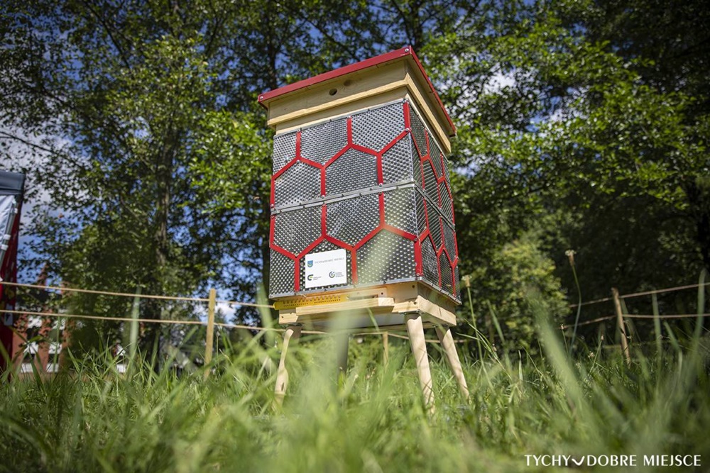 Miód z... bębna od pralki