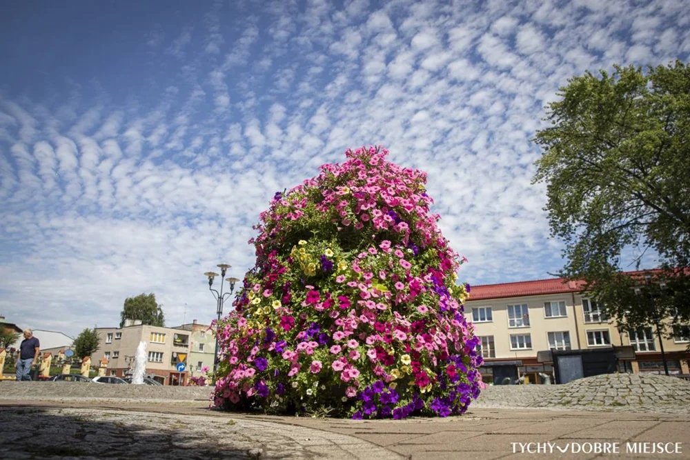 Letnie rabaty sezonowe w Tychach