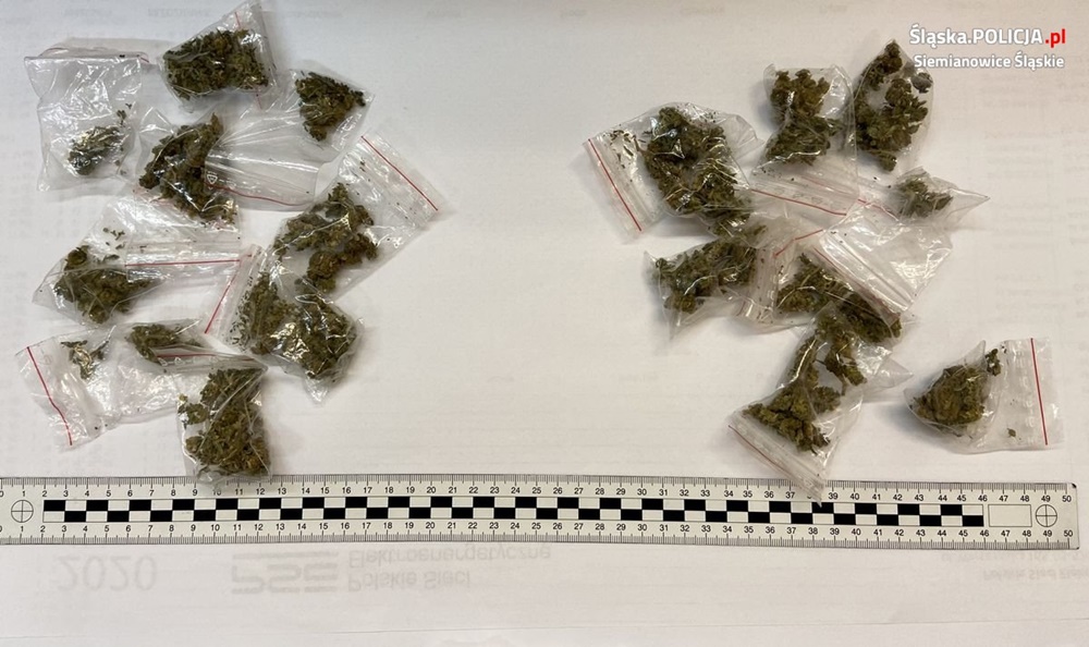 Nieletni odpowiedzą za posiadanie narkotyków