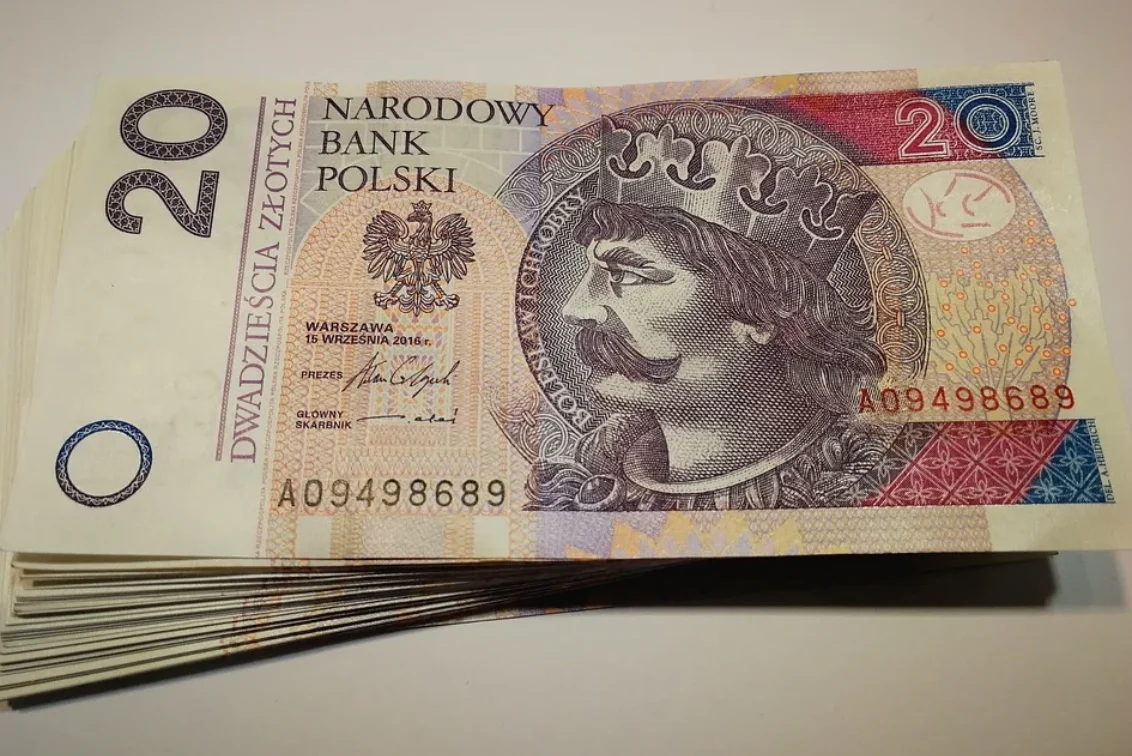 Powiatowy Urząd Pracy przekazuje informację dot. realizacji projektu PO WER (V)