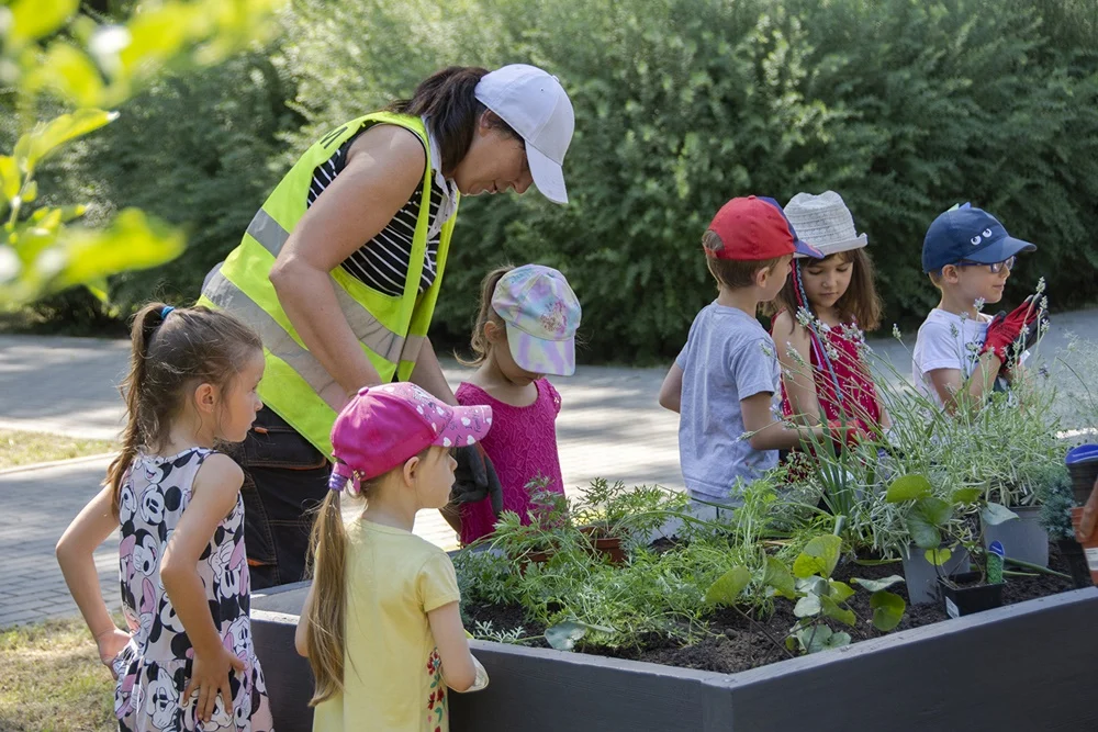 Nowy klomb i łąka kwietna w parku Amendy