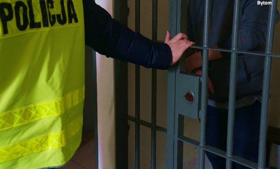 Amator cudzej własności usłyszał zarzuty