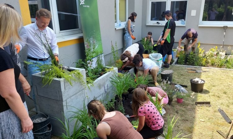 Sosnowiec z kolejnym ogrodem deszczowym