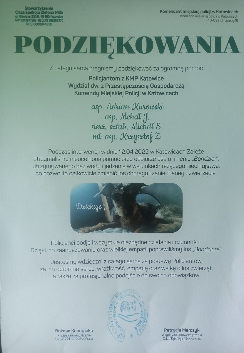 Podziękowania dla katowickich policjantów za walkę o los zwierząt