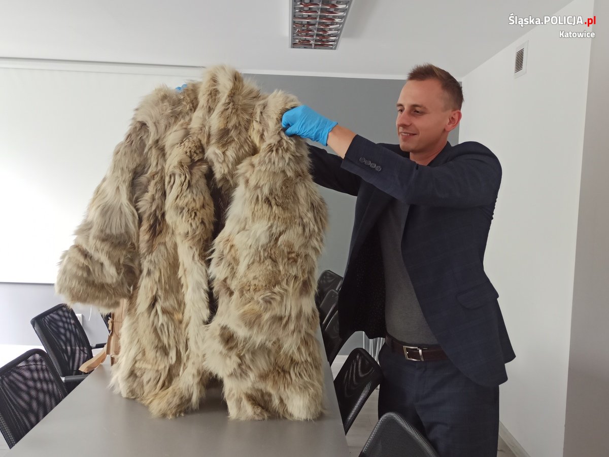 Przekazali futro z wilka kanadyjskiego funkcjonariuszom KAS-u