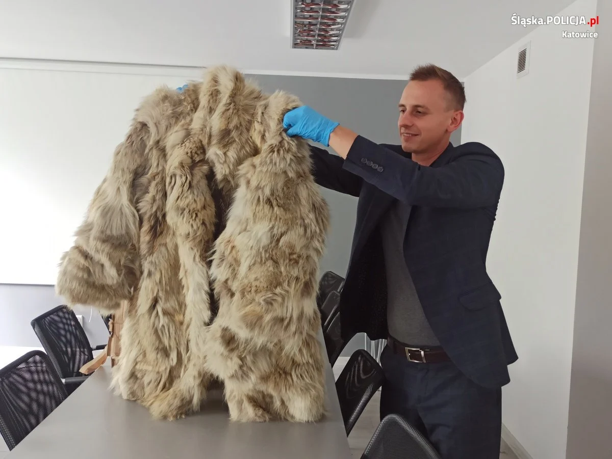 Przekazali futro z wilka kanadyjskiego funkcjonariuszom KAS-u