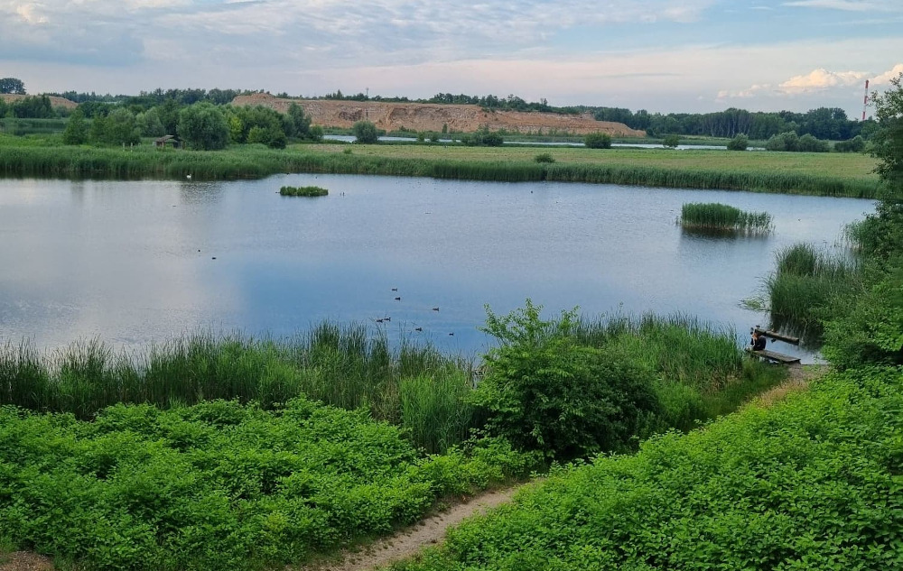 Żabie Doły znikną z zielonej mapy regionu? Krążą pogłoski o budowie Parku Logistycznego