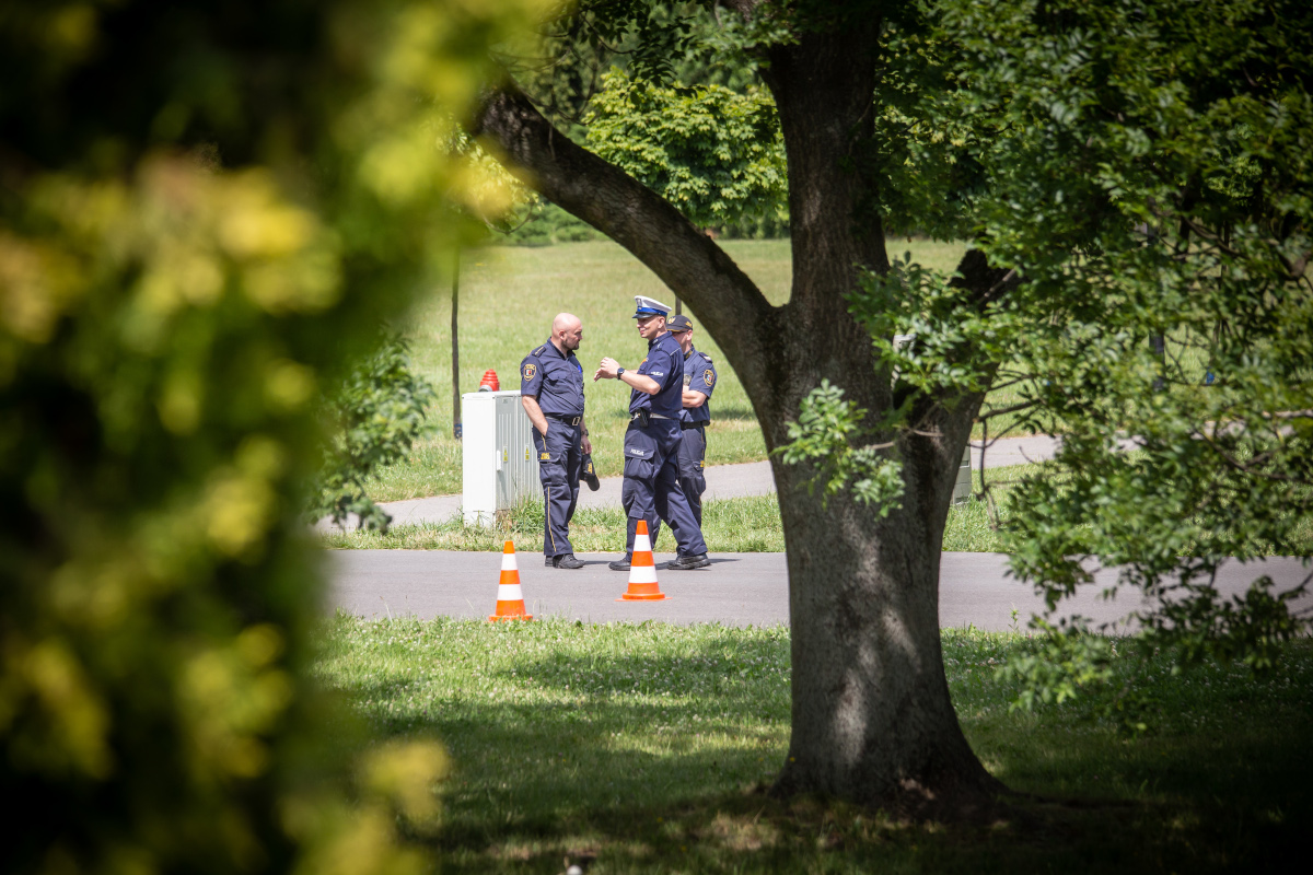 Karta rowerowa w Parku Śląskim. Dzieciaki próbowały swoich sił