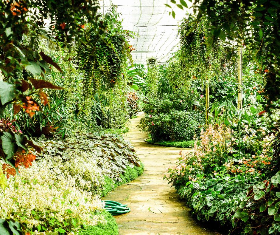 Program grantowy dla stowarzyszeń ogrodowych