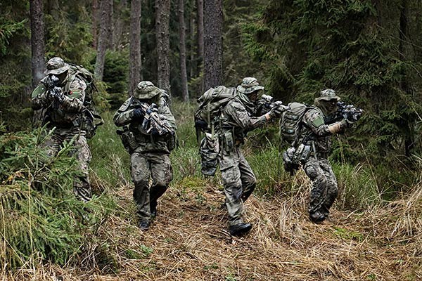 Śląskie Manewry i Piknik Militarny