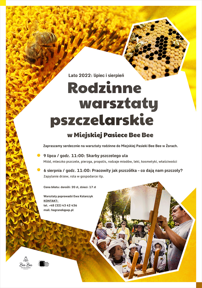 Jak spędzić lato w Żorach? Sprawdź ofertę miejskich instytucji kultury! 6