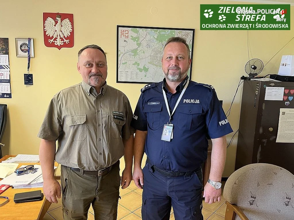 Zielona Strefa  - Ochrona zwierząt i środowiska