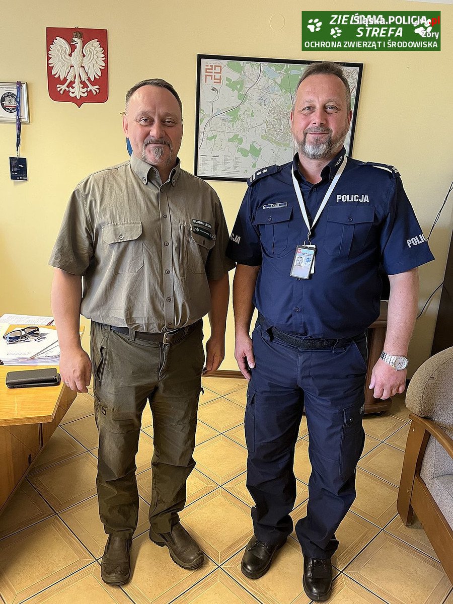 Zielona Strefa - Ochrona zwierząt i środowiska