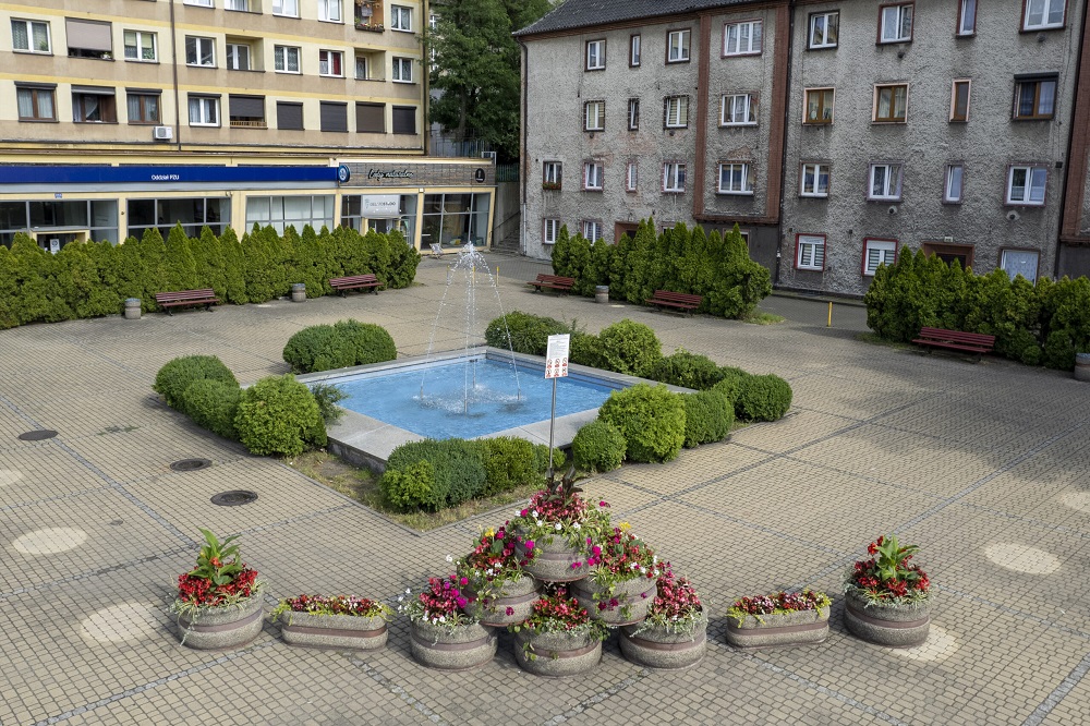 Ukwiecone miasto tętni kolorami