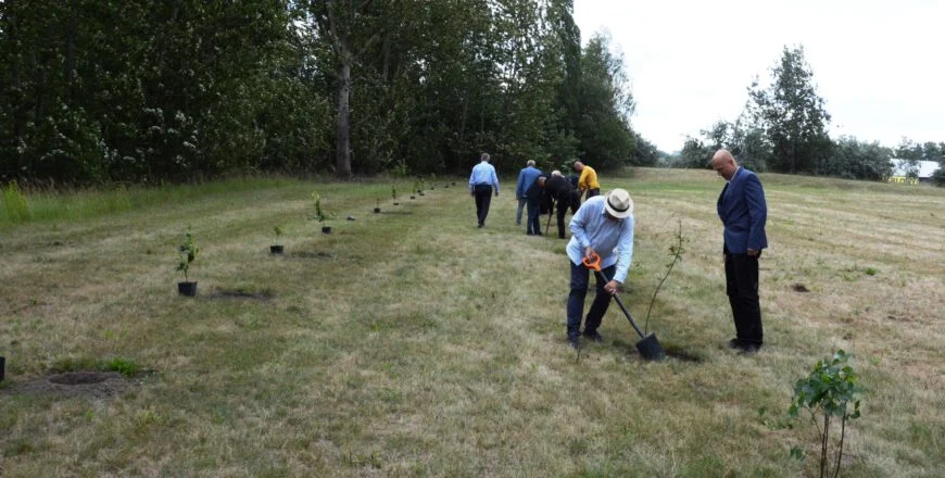 W Zabrzu zasadzono kolejne drzewa