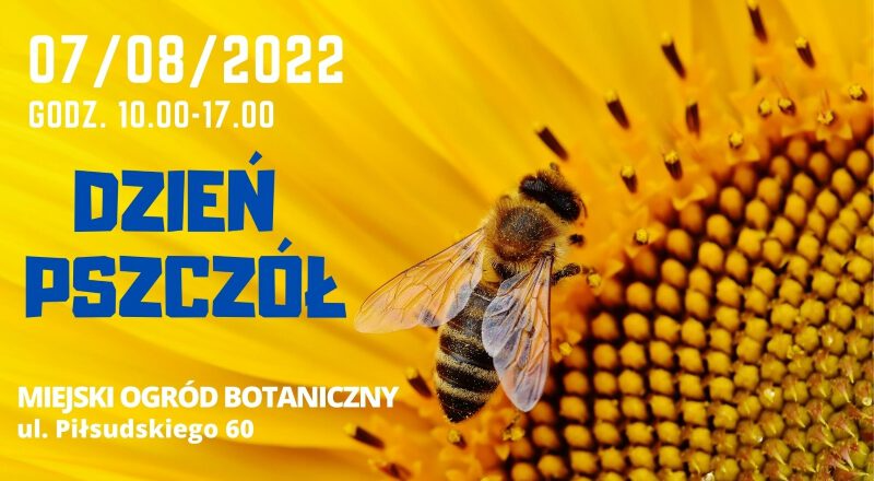 Przed nami Dzień Pszczół w Miejskim Ogrodzie Botanicznym