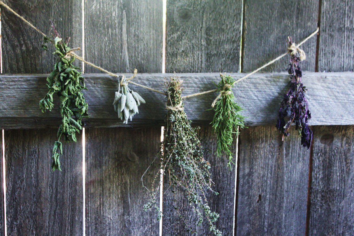 Zioła na młodość