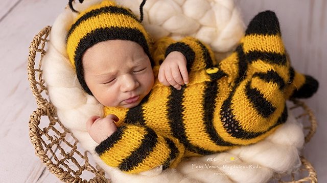 Foto Venus Magdalena Ruda