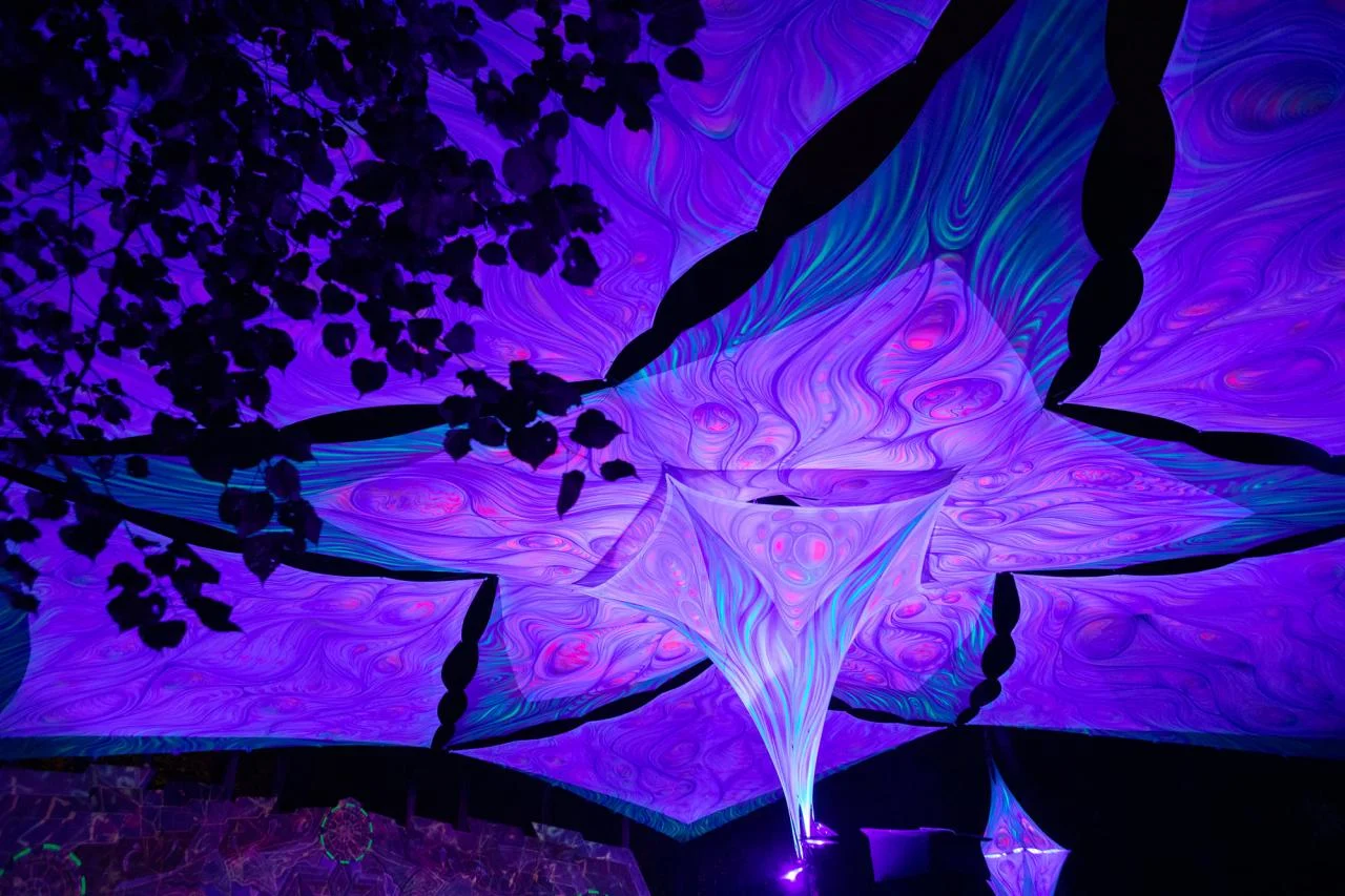 FEST Festival 2022: Line-up 8