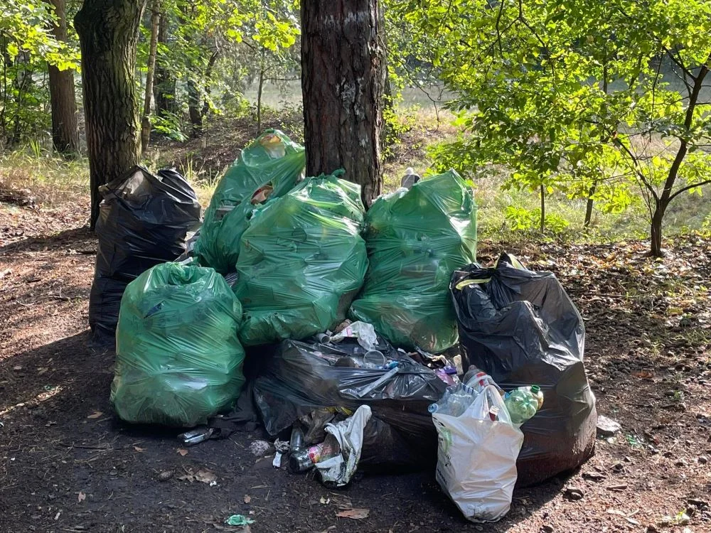 Las w Halembie pełen śmieci. Nadleśnictwo Katowice wystosowało apel do mieszkańców