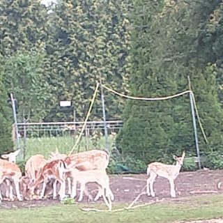 Czarny Las - Kościół pw. Ducha Świętego