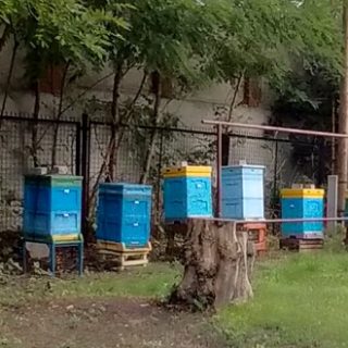 Czarny Las - Kościół pw. Ducha Świętego