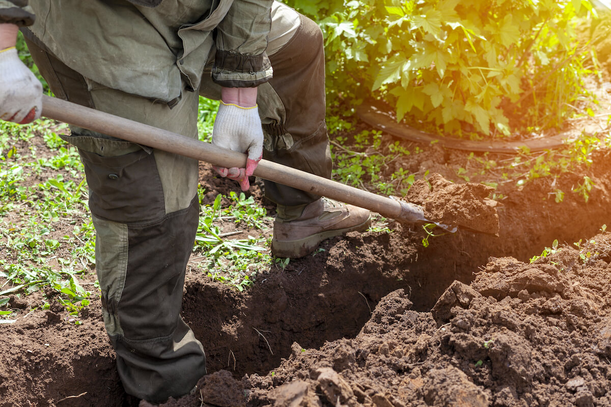 Czy zgodzić się na puszczenie światłowodu przez działkę?