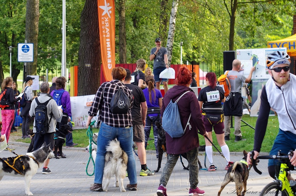 X Tyski Dogtrekking - Człowiek i Pies na Tyskich szlakach już 10 września