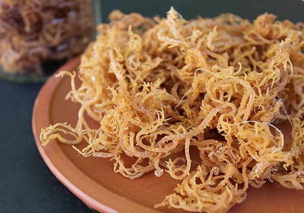 Czym jest mech irlandzki i jak może pomóc Ci schudnąć