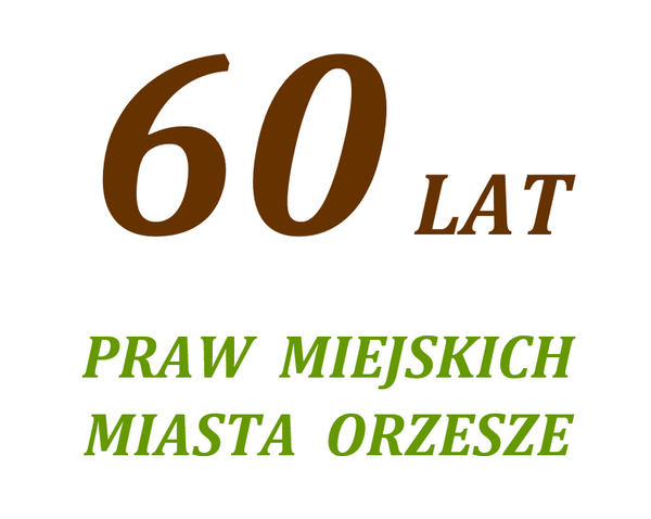 XLVI Sesja Rady Miejskiej Orzesze