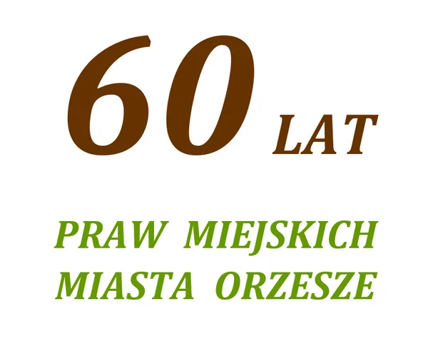 XLVI Sesja Rady Miejskiej Orzesze