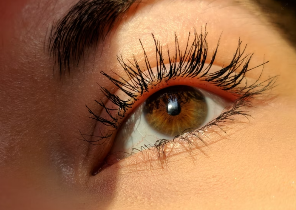 Tusz do rzęs Eveline – który warto wybrać?