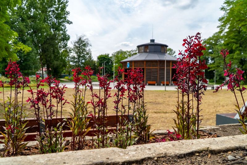 Coraz piekniej na rybnickiej tężni. Teraz odpoczniemy na drewnianych sidziskach