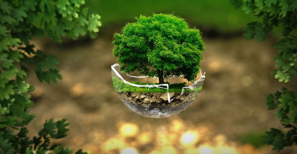 Becekobus - warsztaty kreatywne dla dzieci