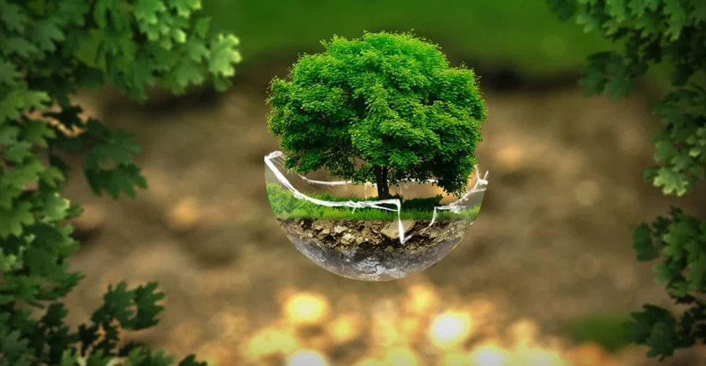 Becekobus - warsztaty kreatywne dla dzieci