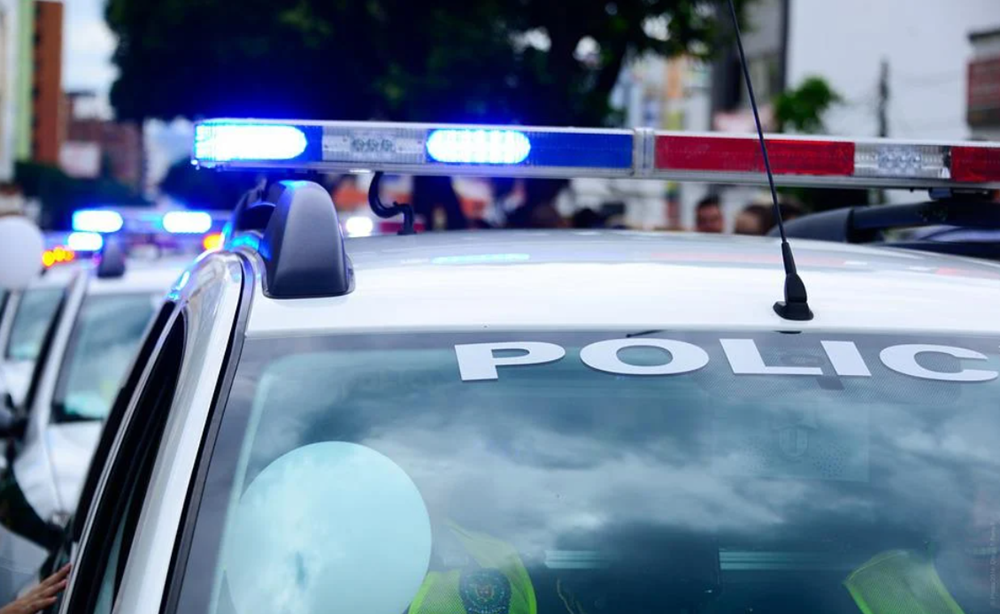 Napadli na pracownika jednej z firm zajmującą się zielenią miejską