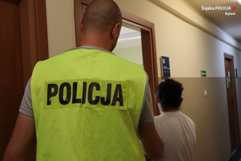 42-latka sprzedawała chore szczenięta! Zgłosiło się 14 oszukanych