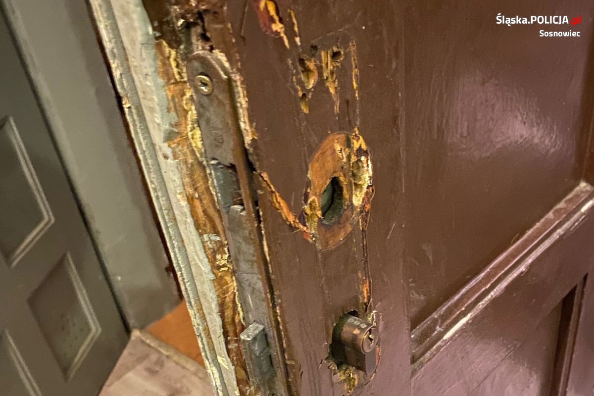 Policjanci uratowali zamknięte w mieszkaniu koty. Stan zwierząt był ciężki