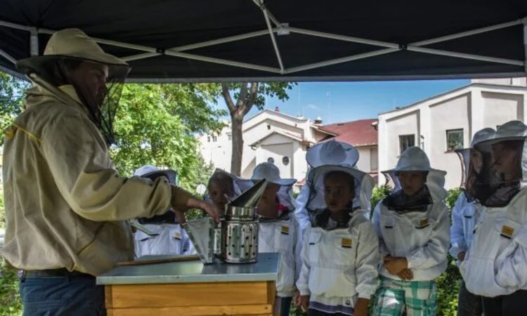 Letnie Warsztaty Pszczele dla dzieci