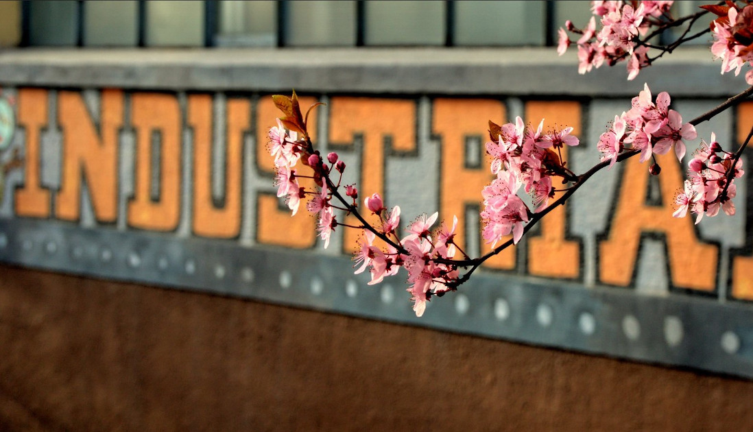 INDUSTRIADA 2022: Co wydarzy się w powiecie mikołowskim 3 września?