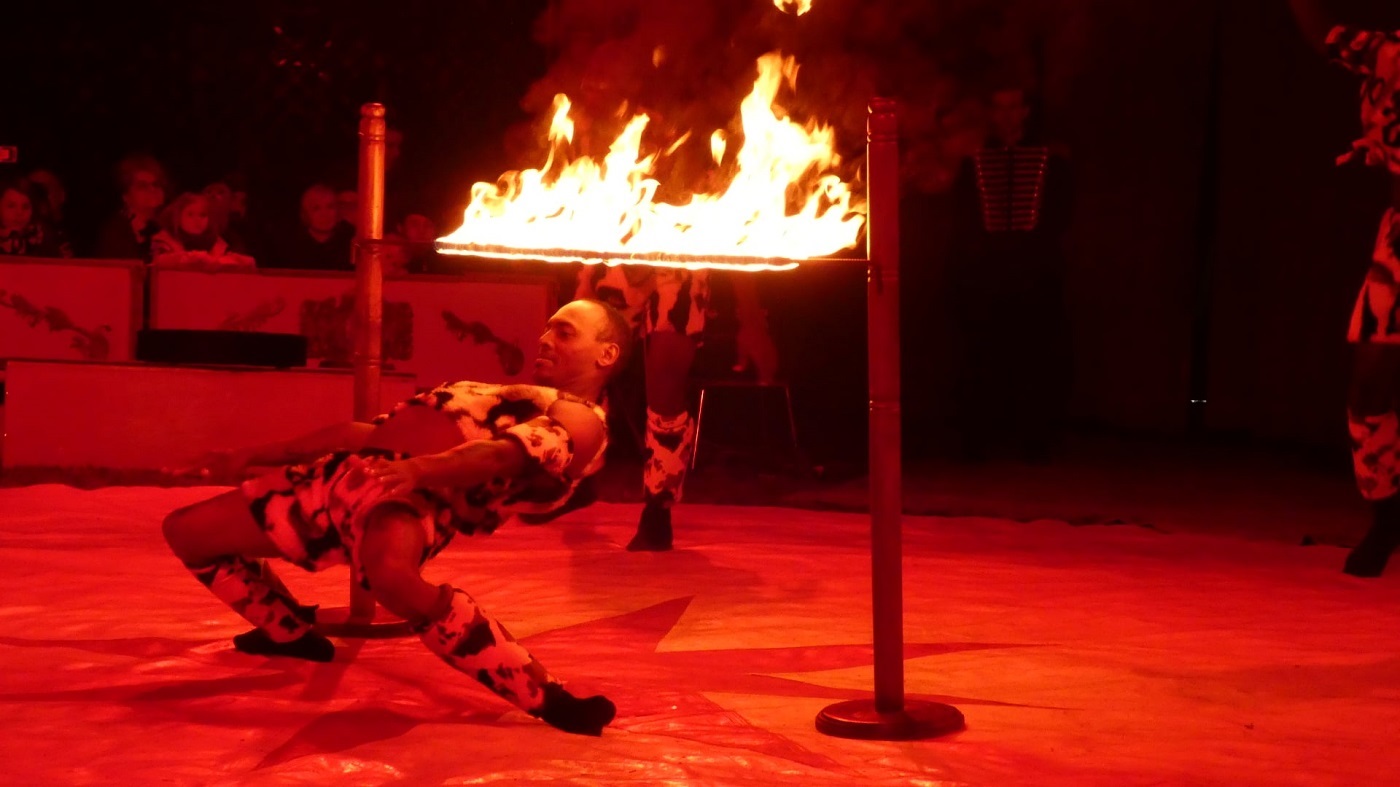 Niezwykłe cyrkowe SHOW w Katowicach - Cyrk Zalewski