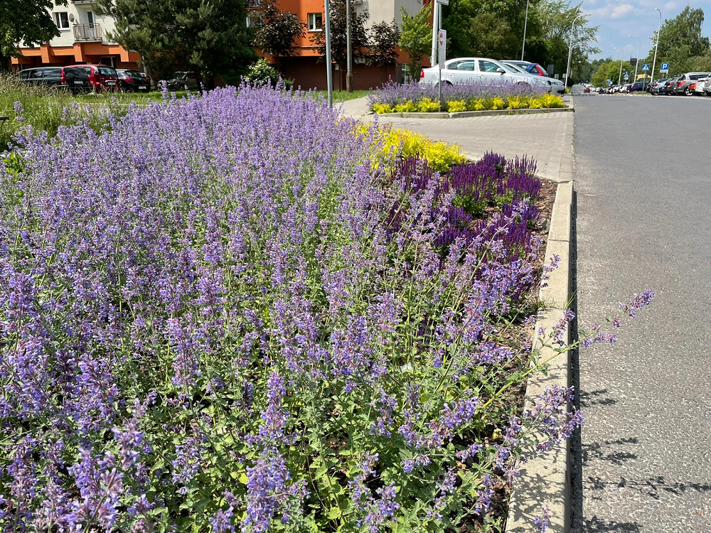 Nowe zielone przestrzenie w Katowicach