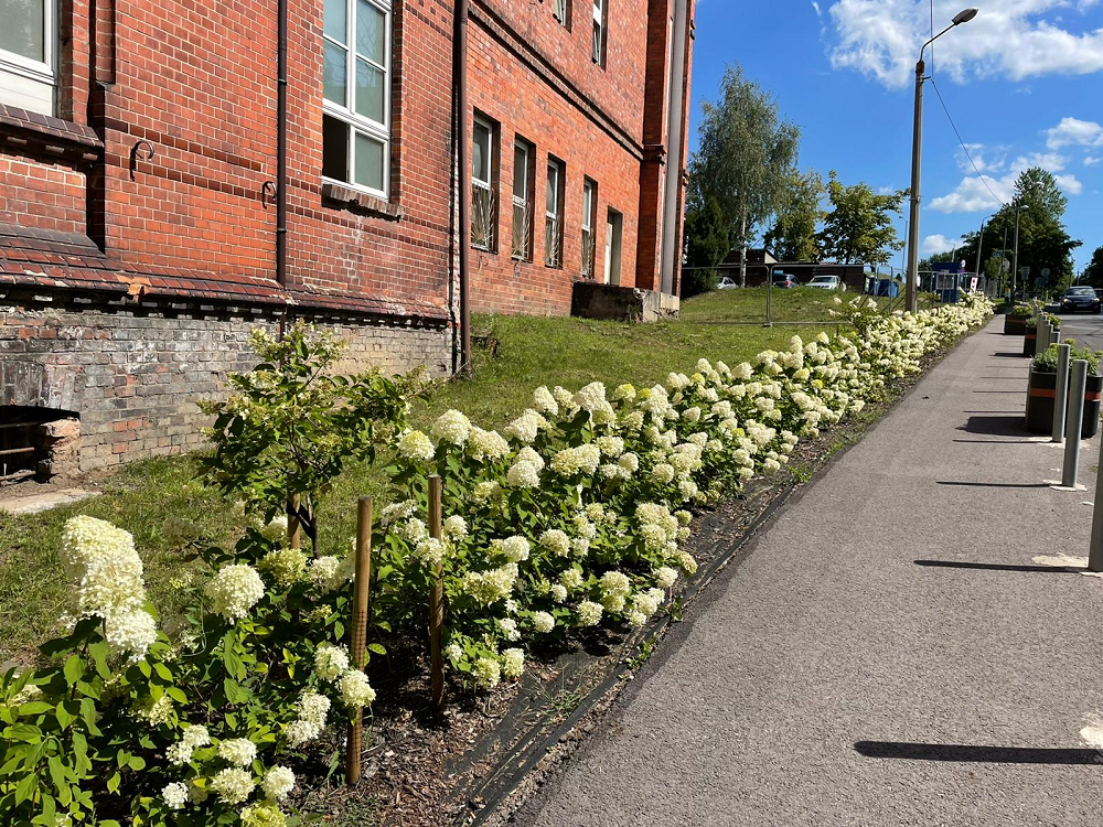 Nowe zielone przestrzenie w Katowicach