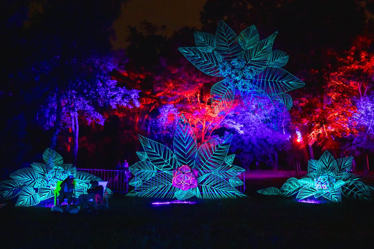 FEST Festival 2022: Line-up 15