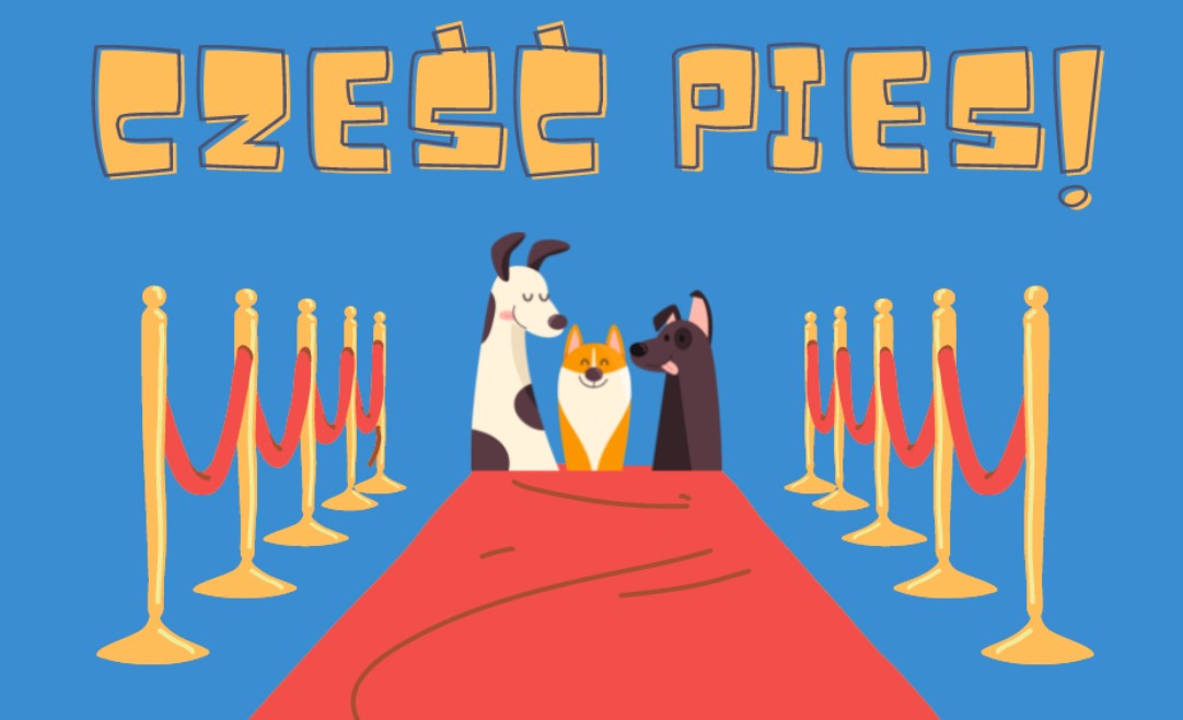 Cześć Pies! już 27 sierpnia w CIM. To promocja świadomej adopcji, ale nie tylko