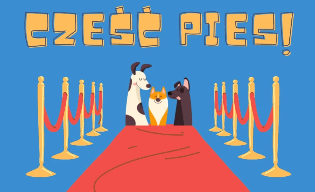 Cześć Pies! już 27 sierpnia w CIM. To promocja świadomej adopcji, ale nie tylko